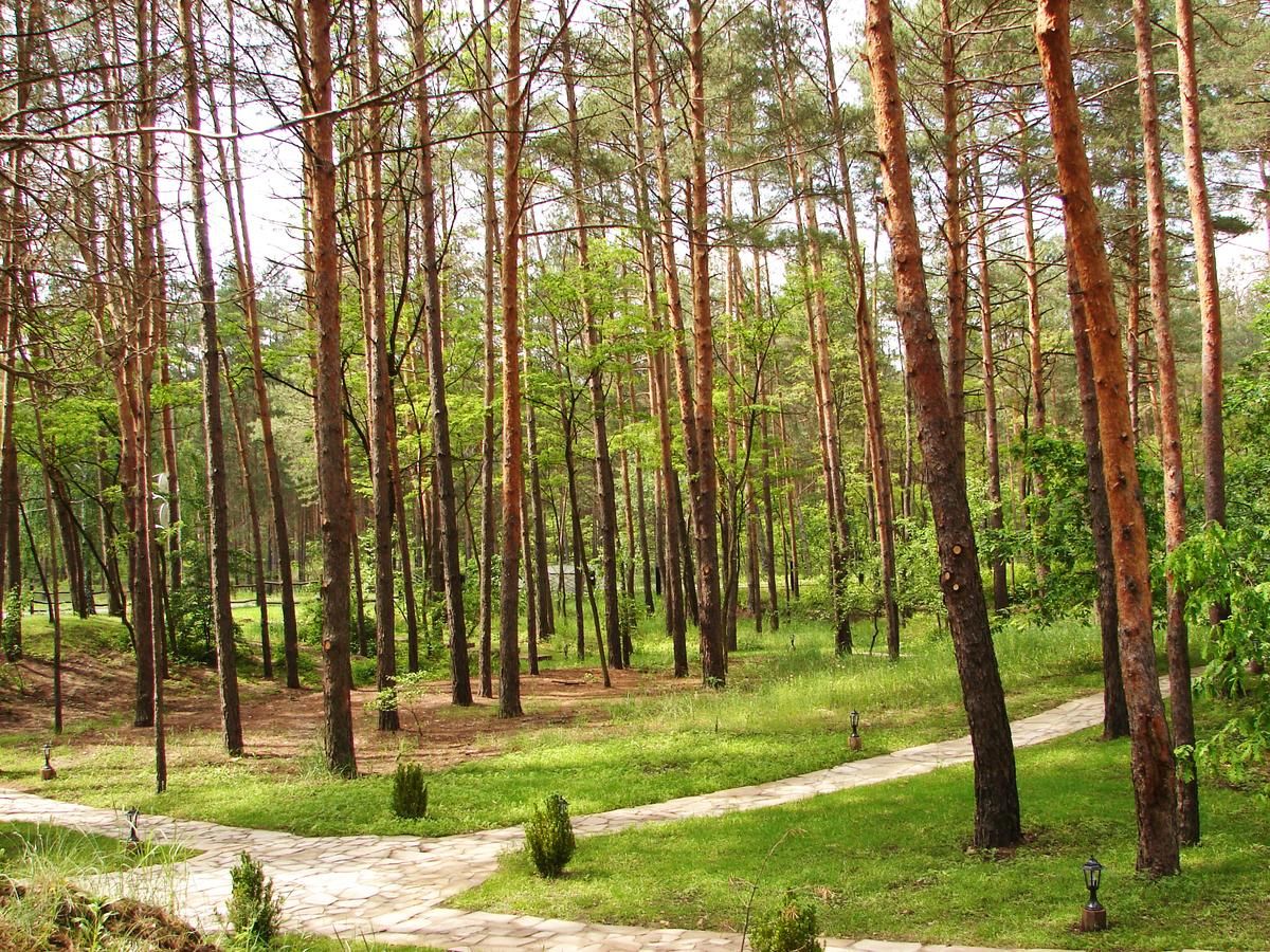 Отель Перший Кордон, Туристический комлекс Медведевка-30